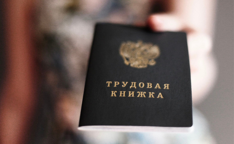 «Единая Россия» внесла в Госдуму новую редакцию закона о занятости