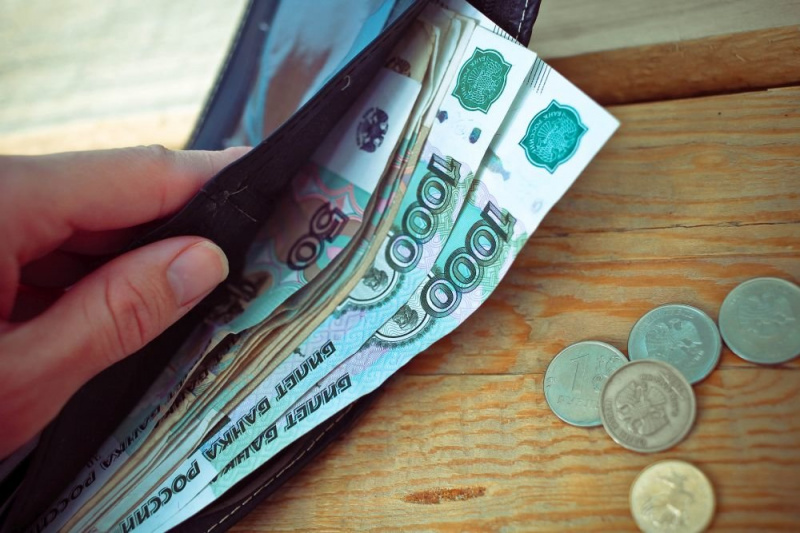 «Единая Россия» внесла в Госдуму законопроект о защите минимального гарантированного дохода от списания за долги